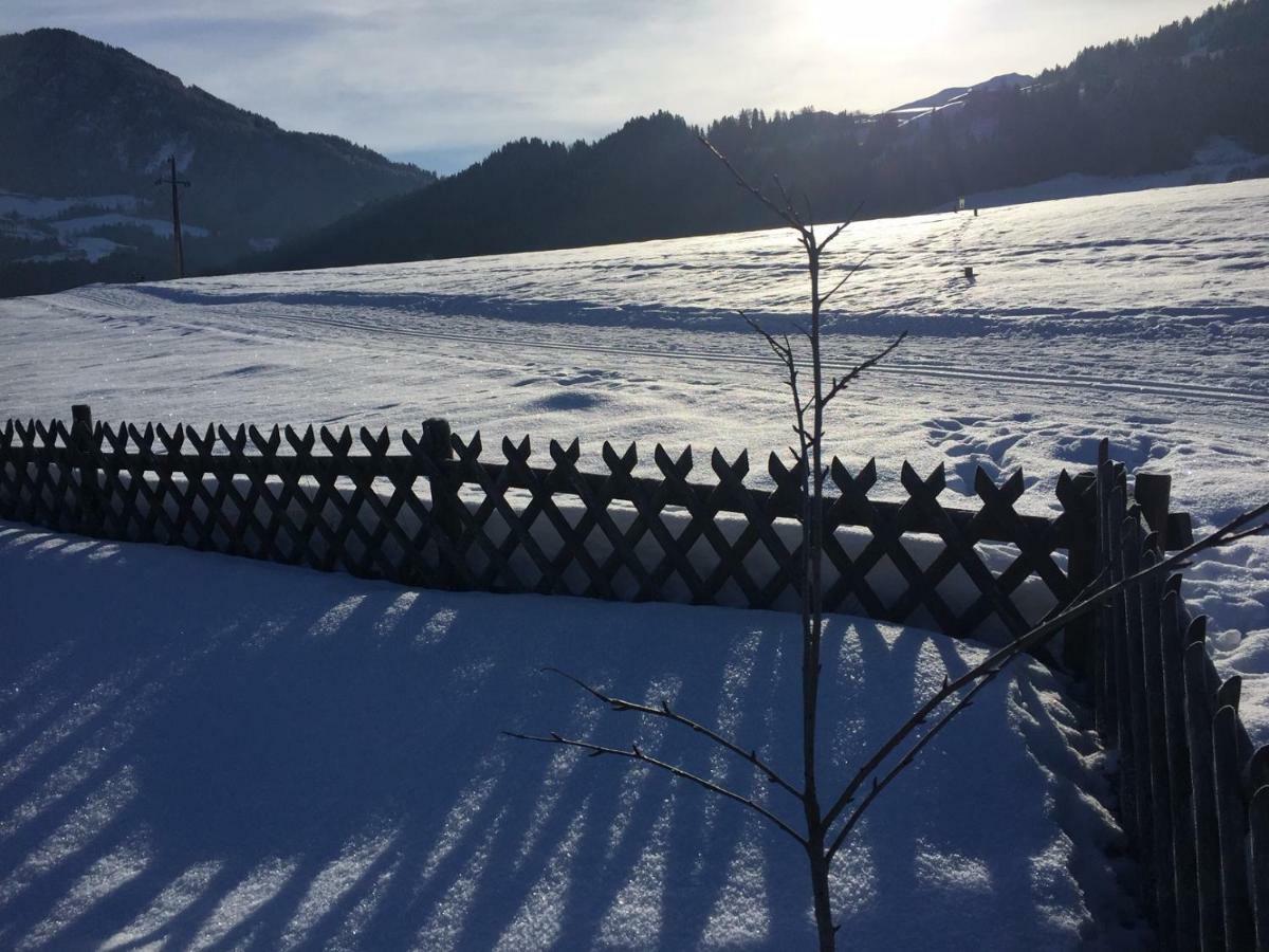 ריית אים אלפבכטל Wohlfuehlchalet Tirol מראה חיצוני תמונה